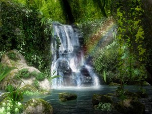 The art of purification