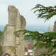 Tai Chi, Glastonbury Retreat