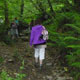 St Nectan's Glen, Summer Solstice Reiki Retreat